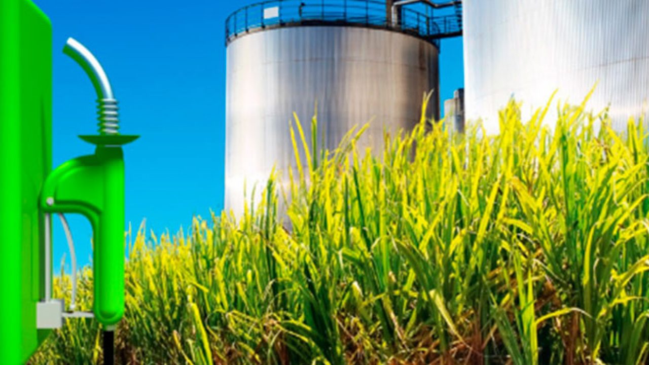 Hydrise Industries is planning to set up an ethanol mfg unit in Seoni district, Madhya Pradesh